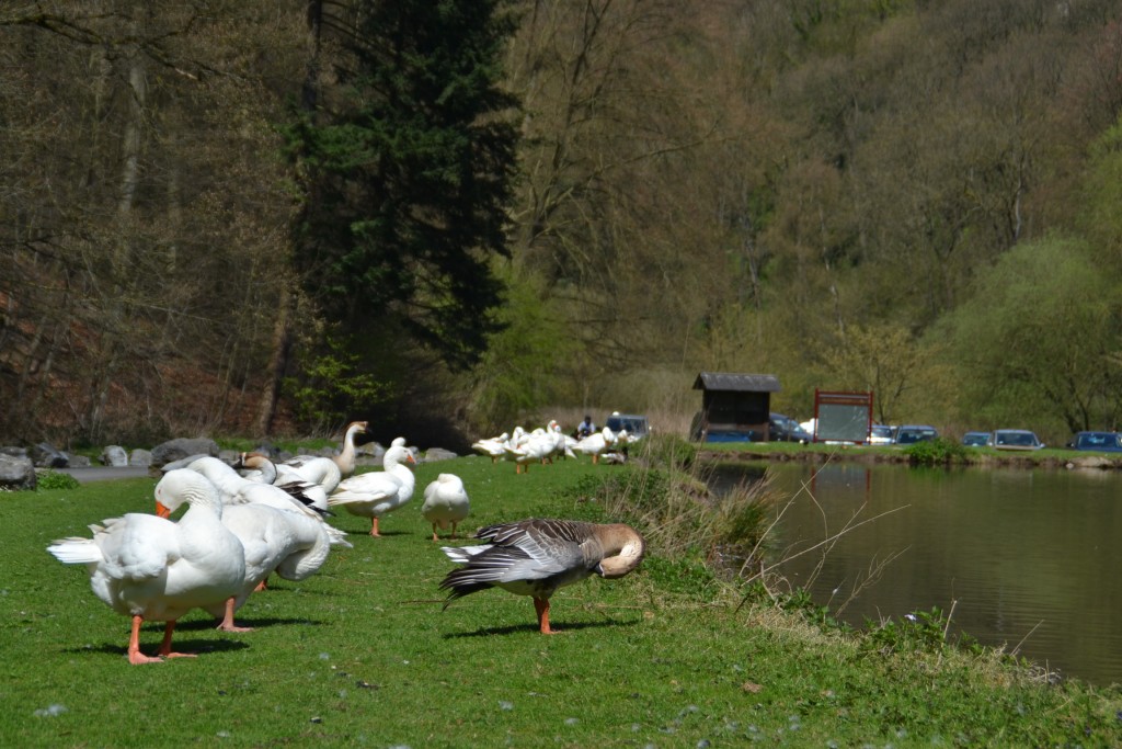 Etangs de la Julienne De meren van de heilige Juliana Circuits